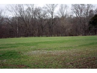 Property photo 6 - LAND AUCTION - 138+/- ACRES OFFERED IN 3 TRACTS IN SPENCER COUNTY, INDIANA